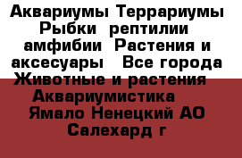 Аквариумы.Террариумы.Рыбки, рептилии, амфибии. Растения и аксесуары - Все города Животные и растения » Аквариумистика   . Ямало-Ненецкий АО,Салехард г.